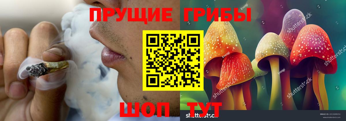 Псилоцибиновые грибы Magic Shrooms  Вход с VPN  Галлюциногенные грибы GOLDEN TEACHER  даркнет сайт  Дивногорск 